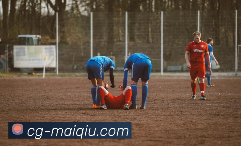 买球赛事预测平台生态图